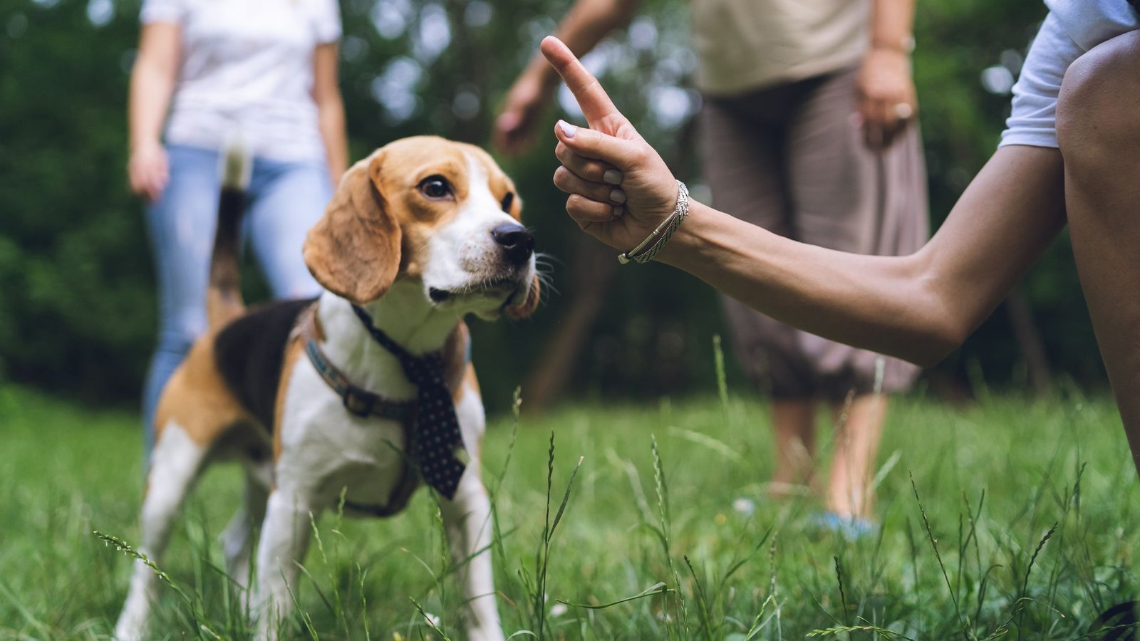 Common Pet Parenting Mistakes and How to Fix Them