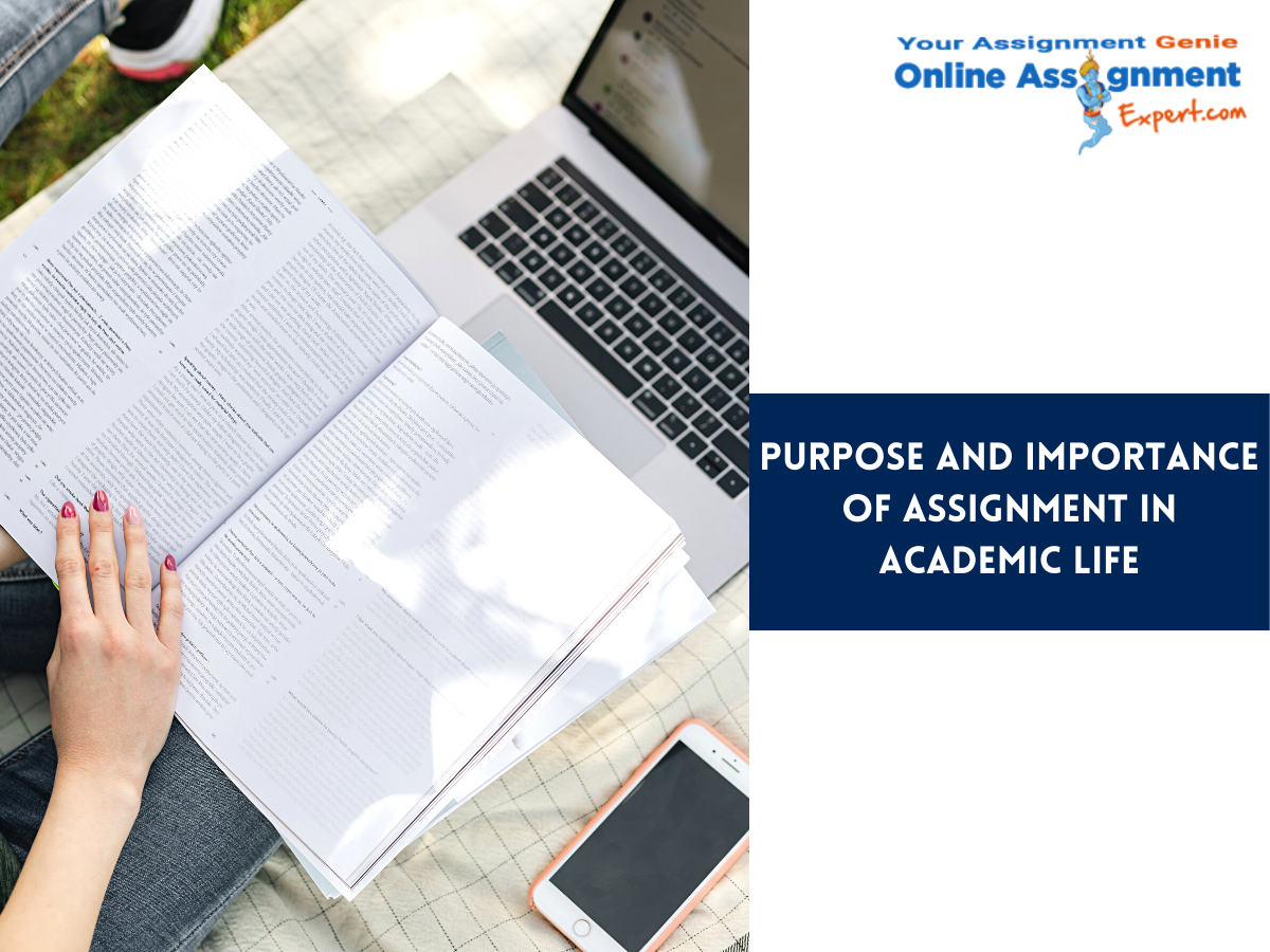 English Assignment Help